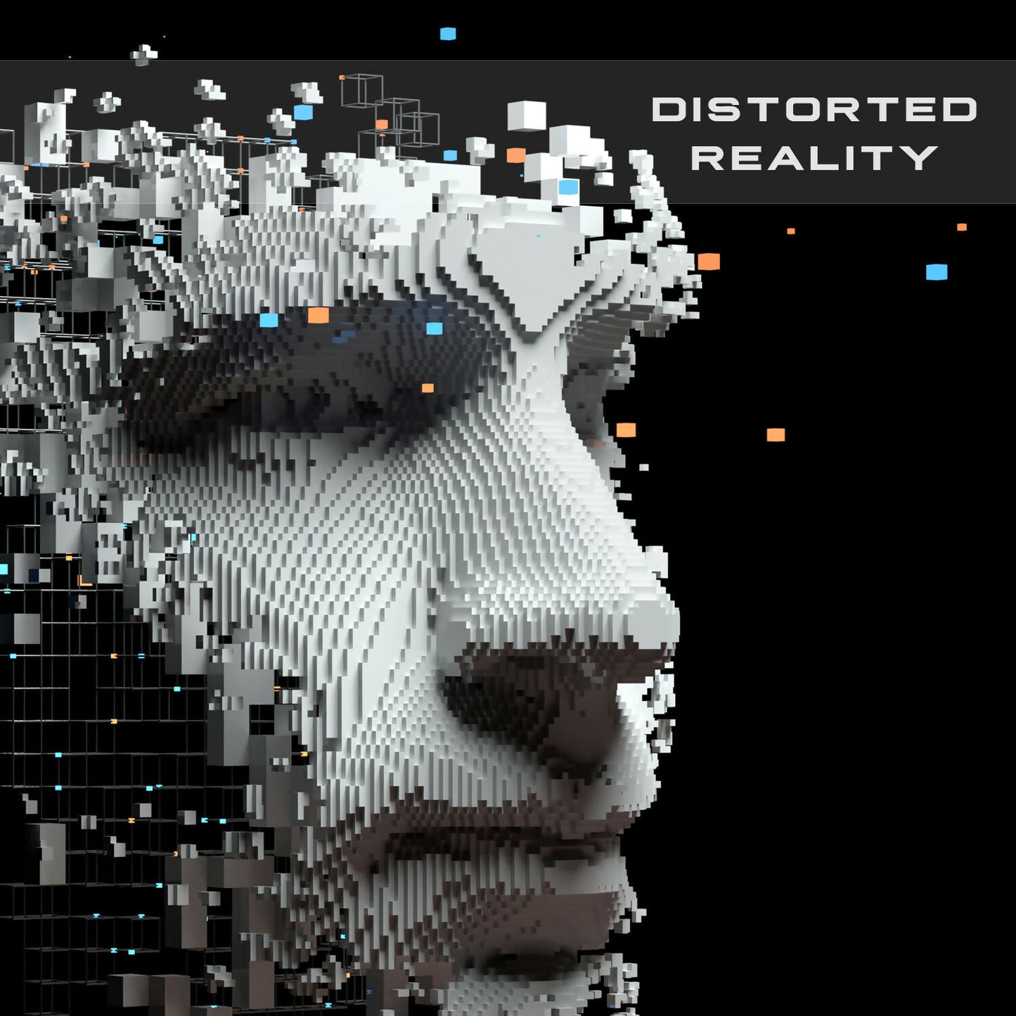 Distorted Reality Cover Art