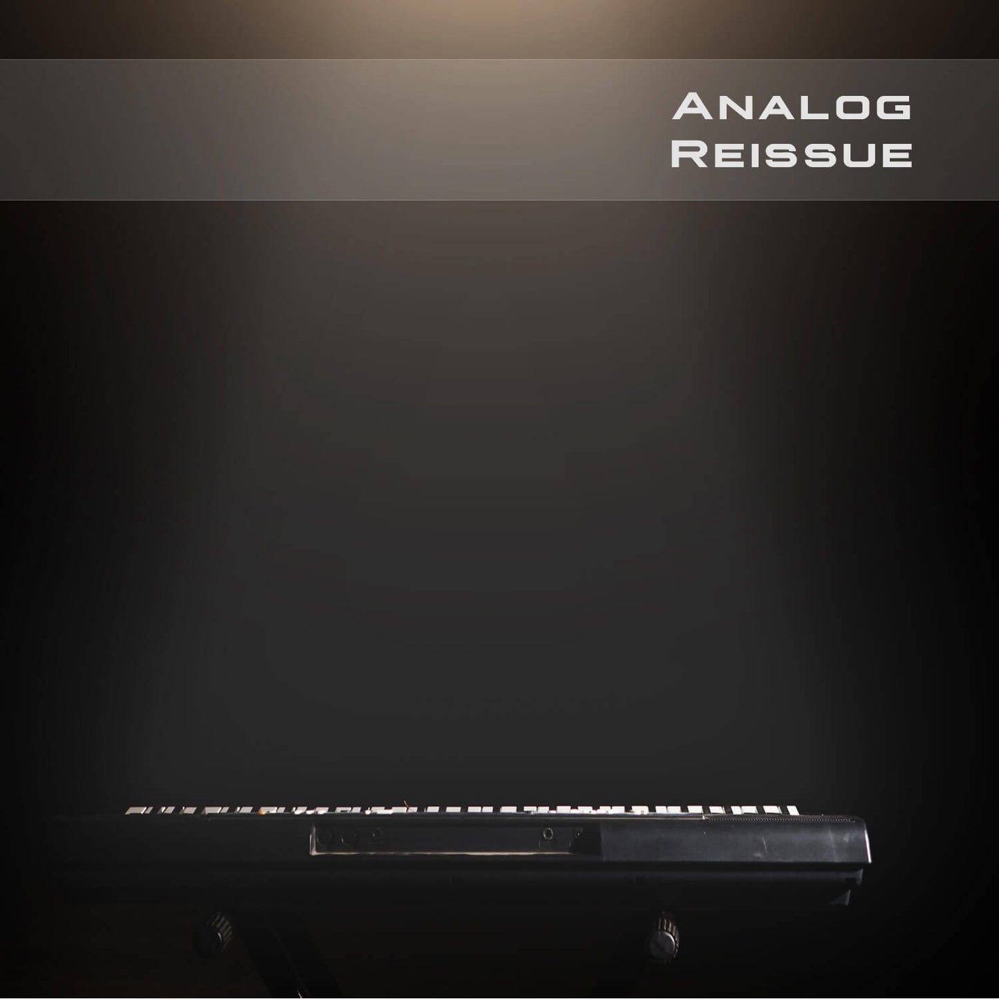 Analog Reissue is a eclectic collection of 100 handcrafted presets for Xils-Lab Syn’X 2.5