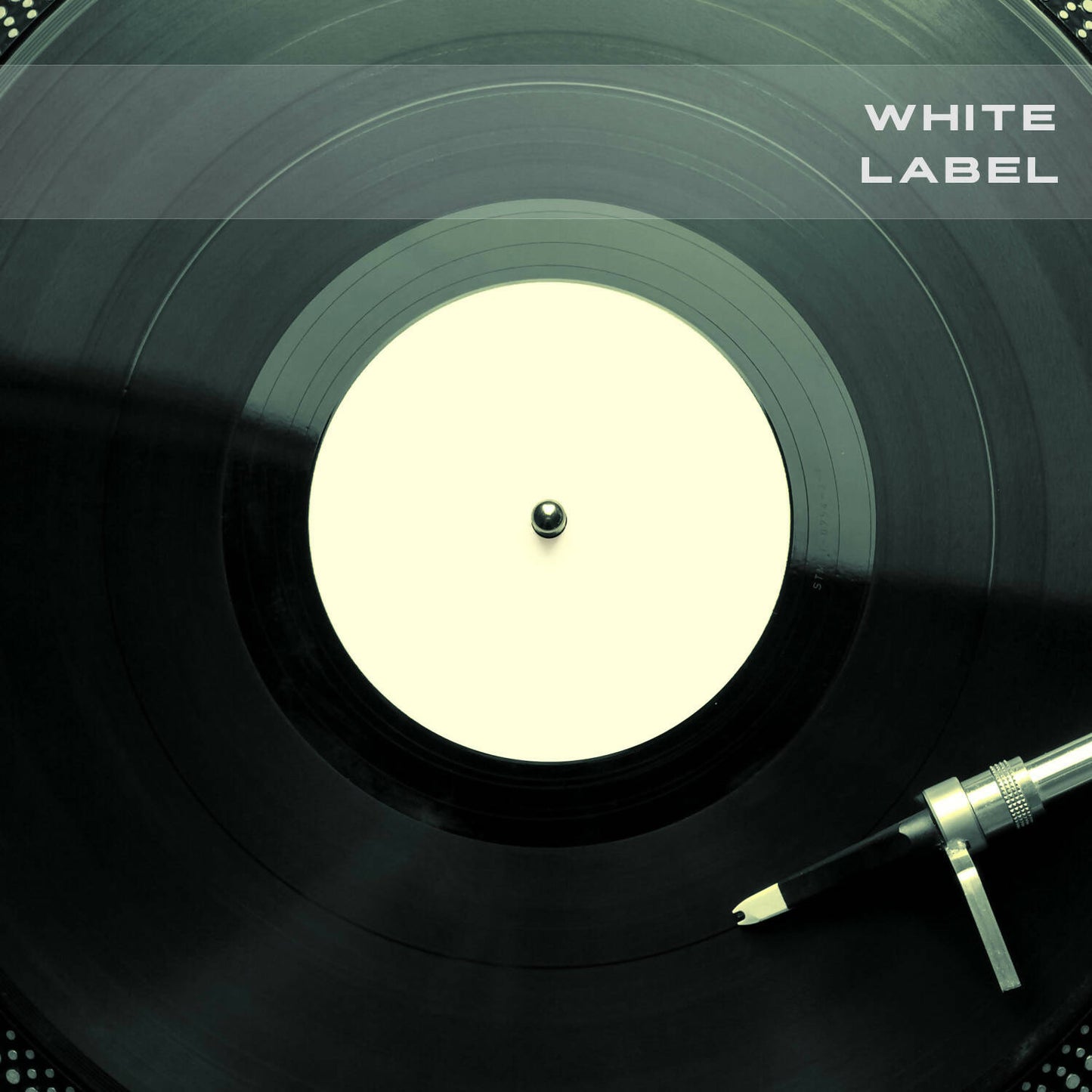 Korg Polysix - White Label