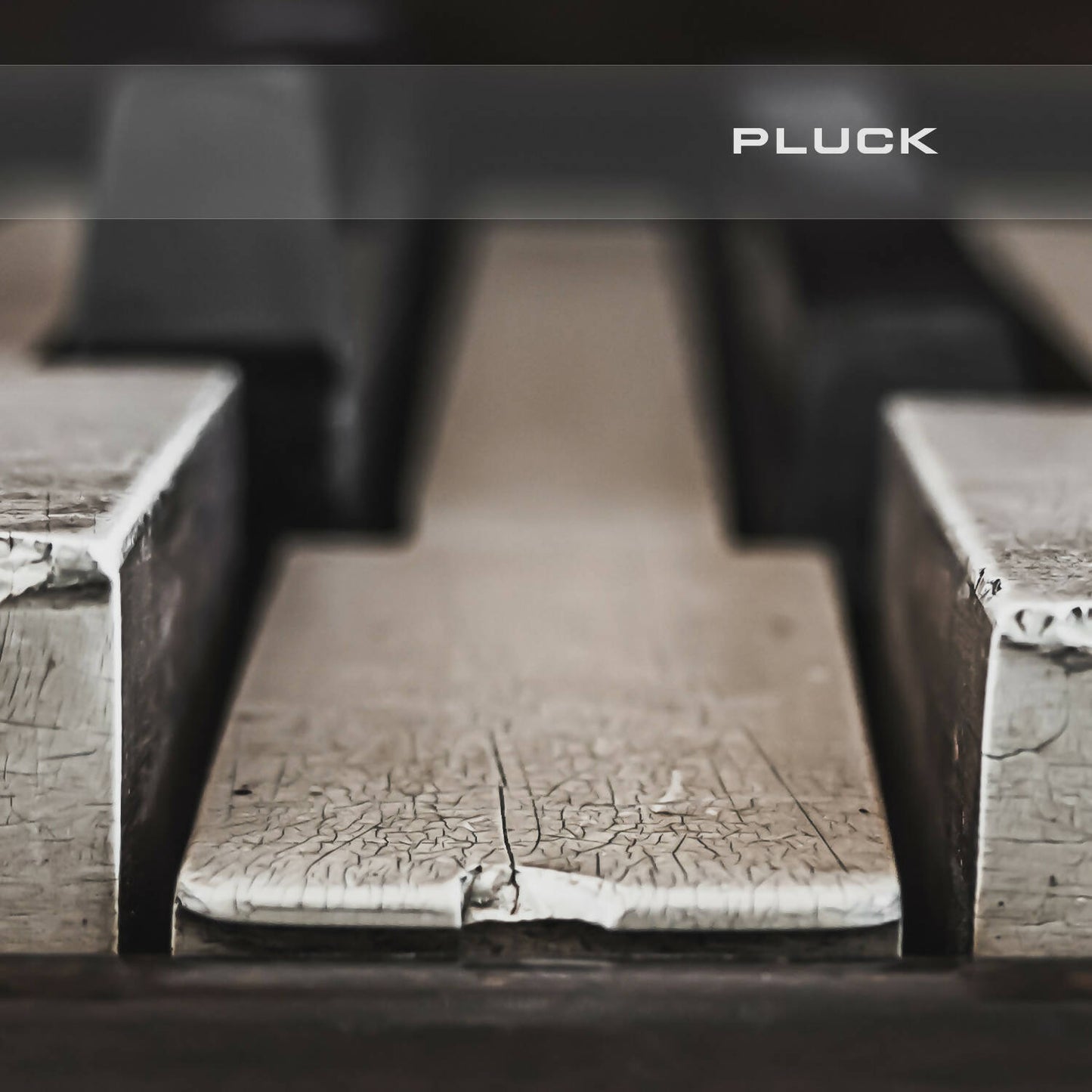 Prophet 5 - Pluck